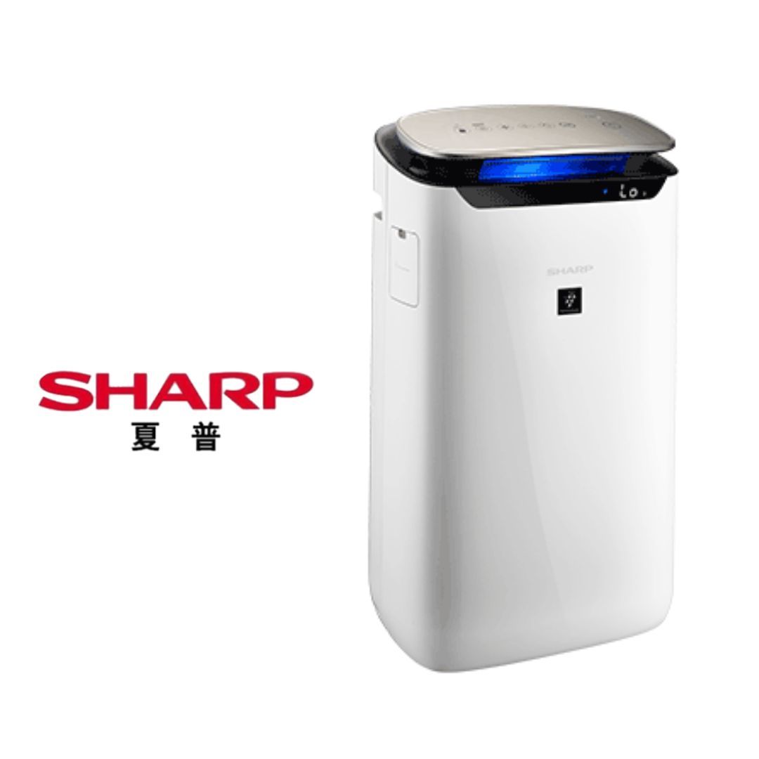 空氣清淨機怎麼選？從坪數、濾網到品牌差異，一篇幫你選對不踩雷