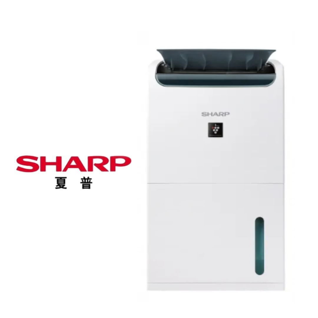 2025 除濕機推薦 大容量、省電設計,讓空氣清新每一天