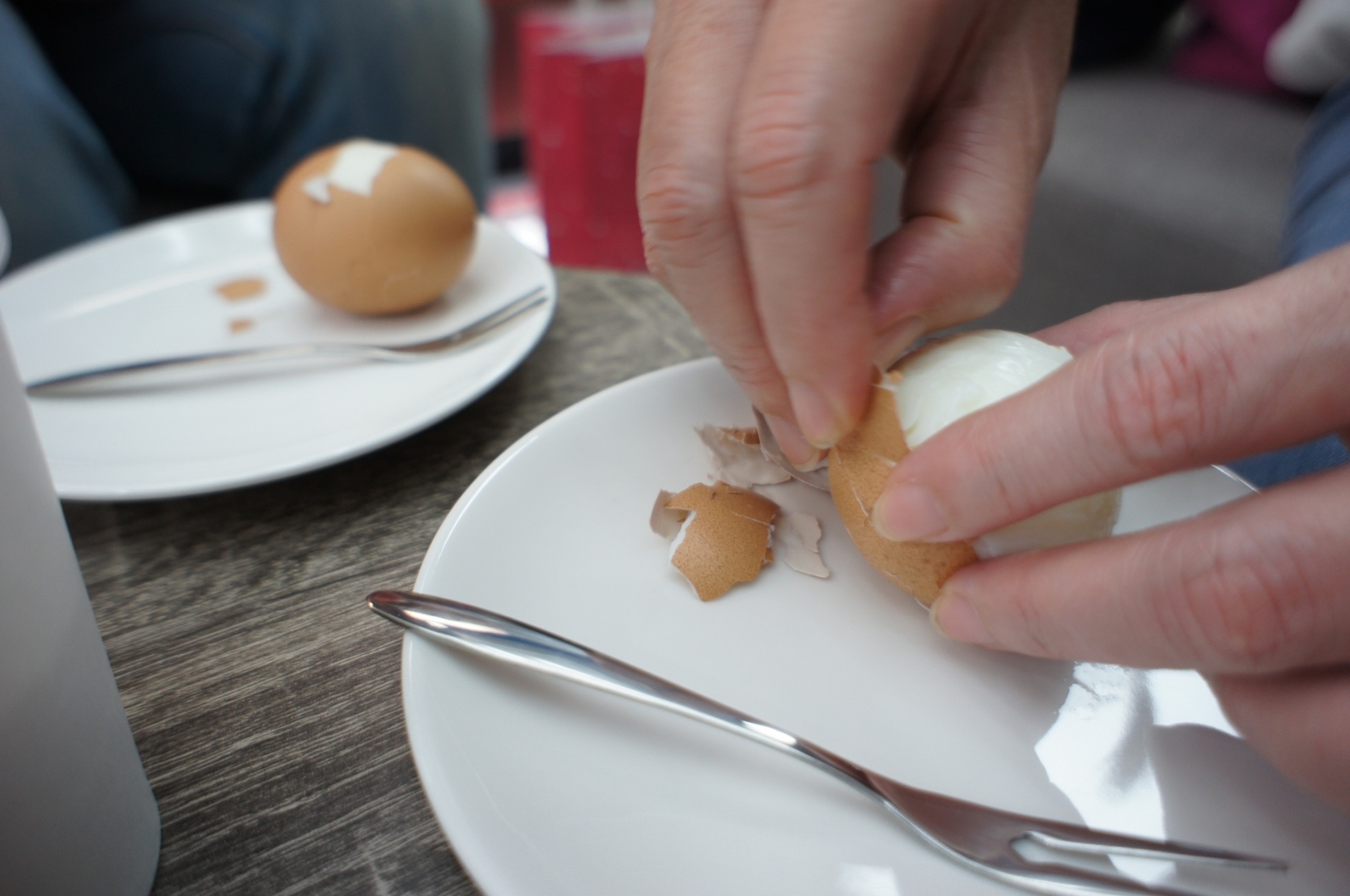 探討蒸氣烘烤爐300B的特異功能-趴吐 (已停售)