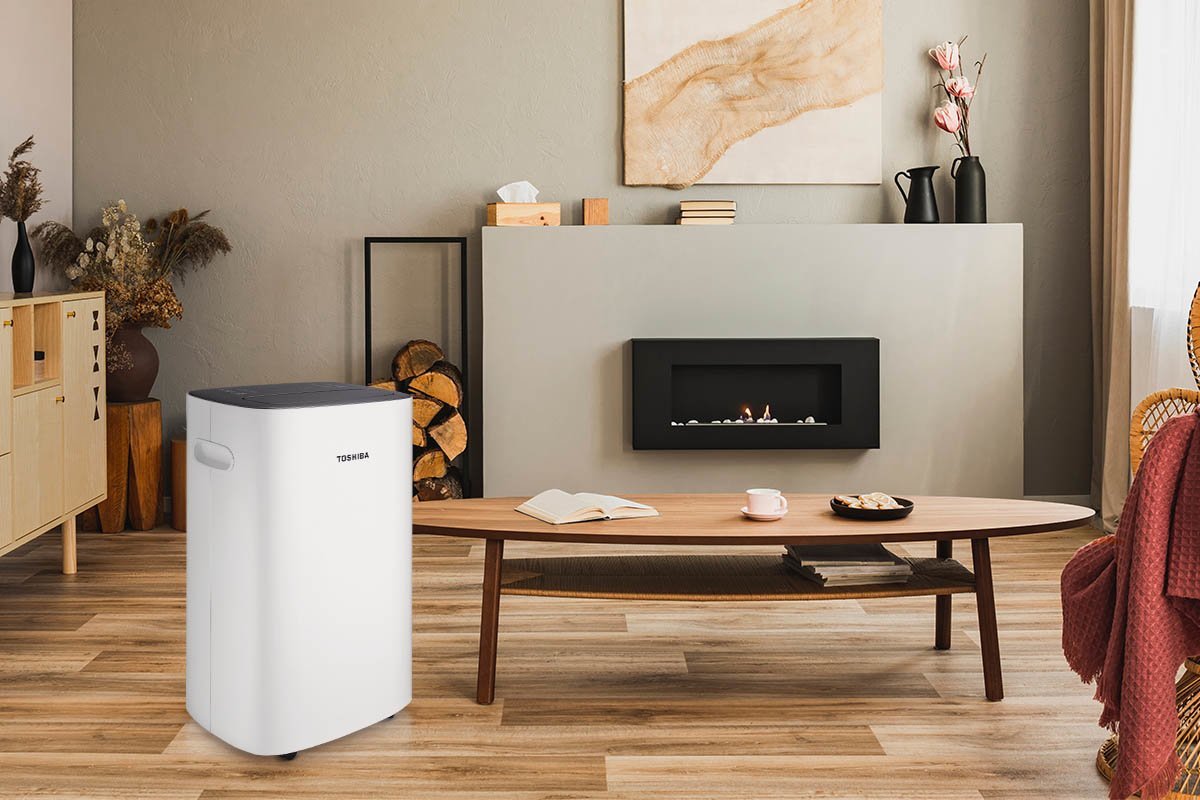 TOSHIBA 東芝 2合1強效除濕&乾衣!RAD-Z160T(T) (已停售)