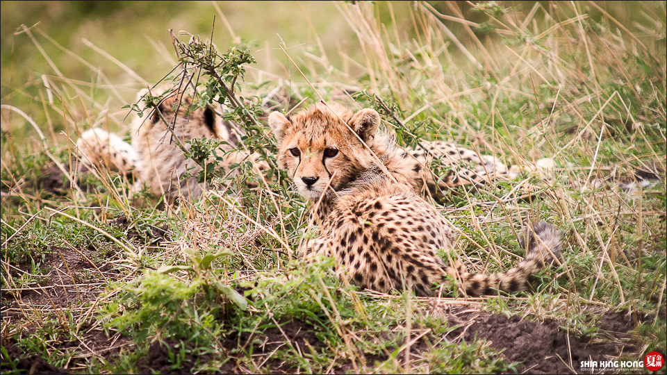 拍出完美照片的最後一哩路/一場70萬新台幣的震撼教育