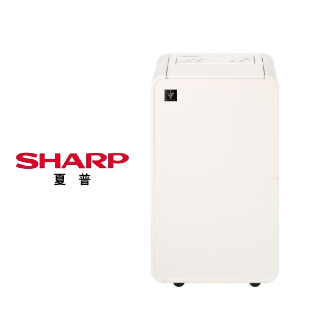 2025 除濕機推薦 大容量、省電設計,讓空氣清新每一天