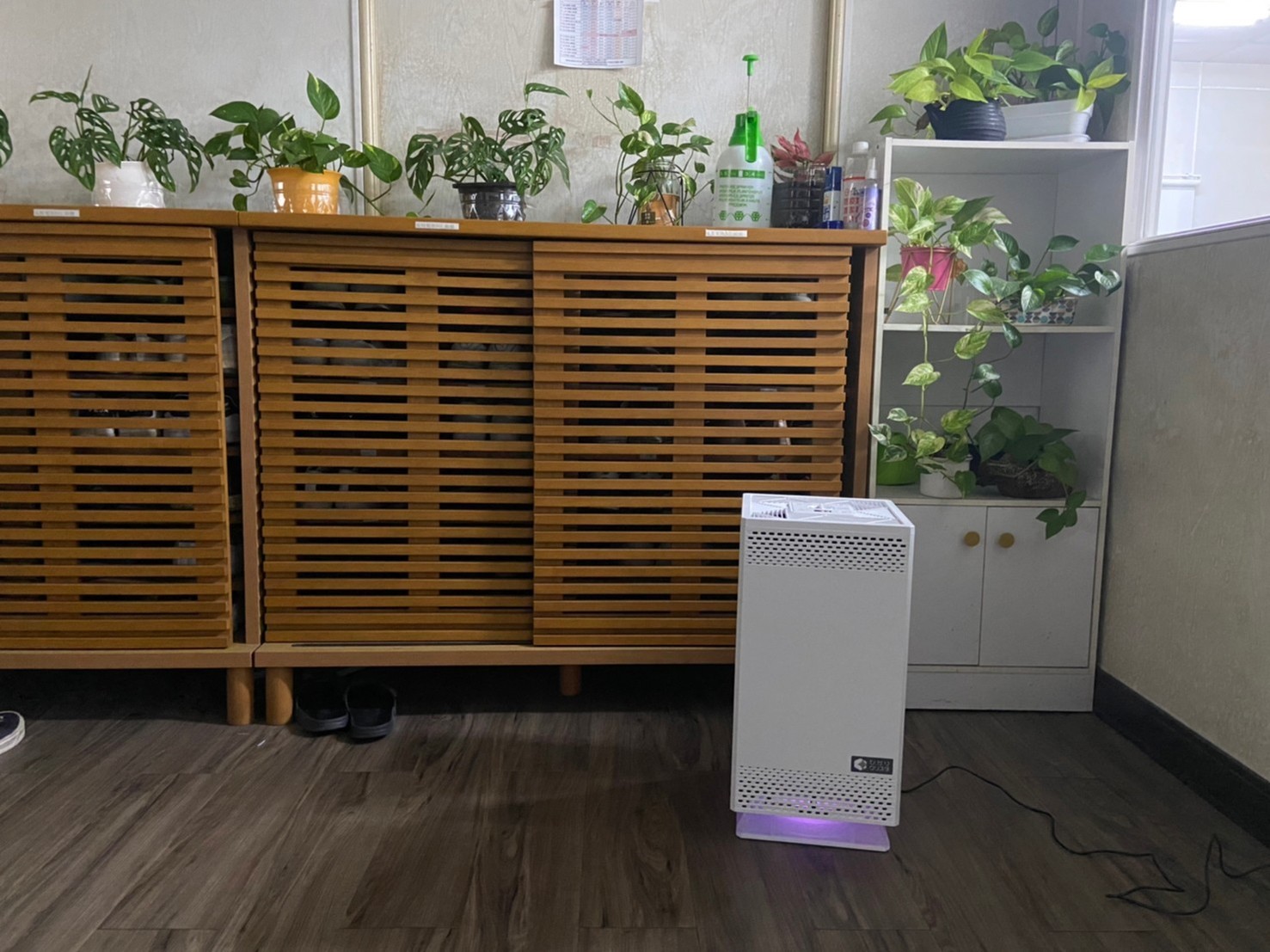 【ANDES】Bio Micron 固態網狀光觸媒 空氣清淨機 空氣淨化機 BM-S611AT