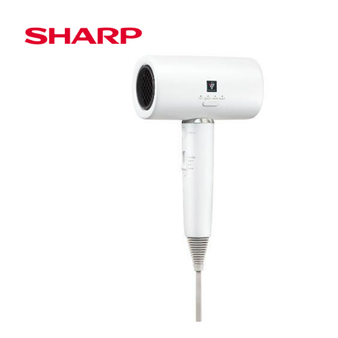 IB-P80MT-W