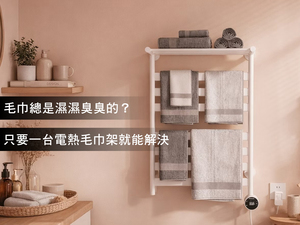 毛巾總是濕濕臭臭的？台灣家庭其實比你更需要一台電熱毛巾架