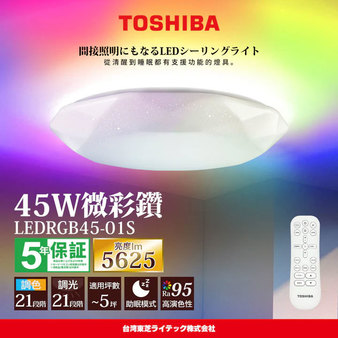 TSBLEDRGB45-01S