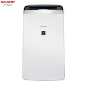 DW-J12FT-W 清淨除濕機 12L/日 適用約15坪