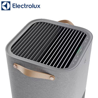 Electrolux 伊萊克斯 EP91-67UGA 極適家居900 三效涼暖風循環頂級空淨機