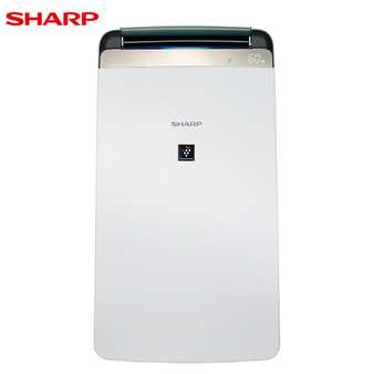SHARP 10公升 衣物乾燥 空氣淨化 除濕機 DW-J10FT-W 一級能效 適用8坪
