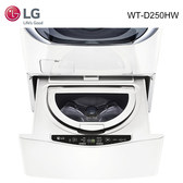 LG 樂金 WT-D250HV/WT-D250HW 洗衣機 2.5kg 星辰銀/冰磁白