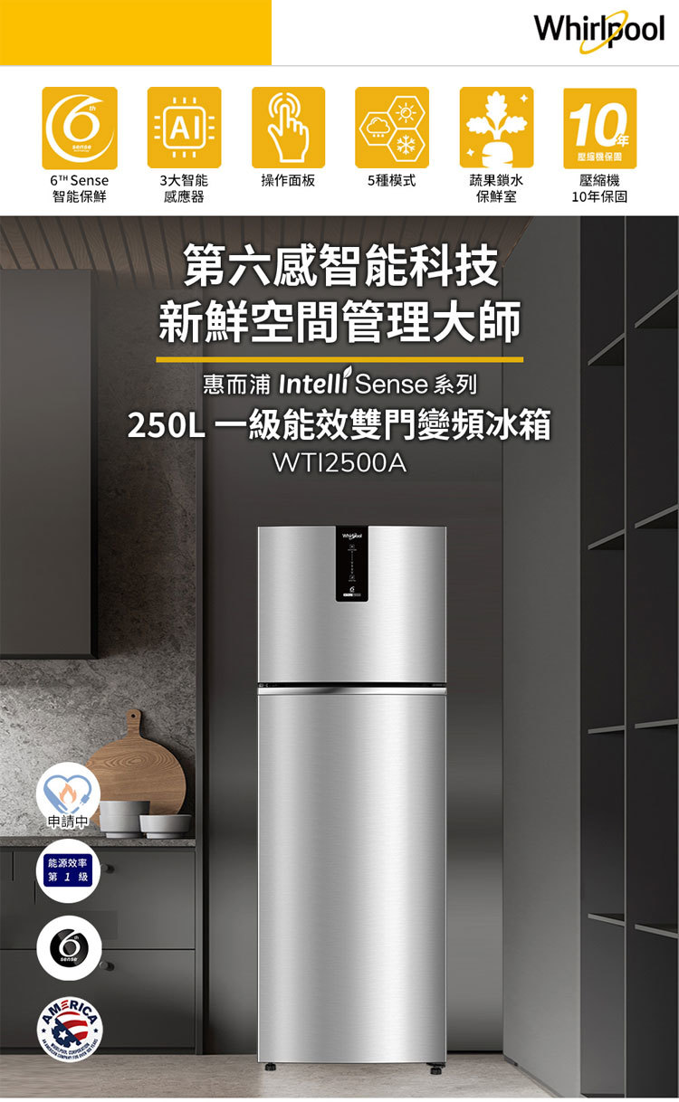 惠而浦 WTI2500A 變頻冰箱 雙門 250L 一級能效 Intelli Sense 星空銀