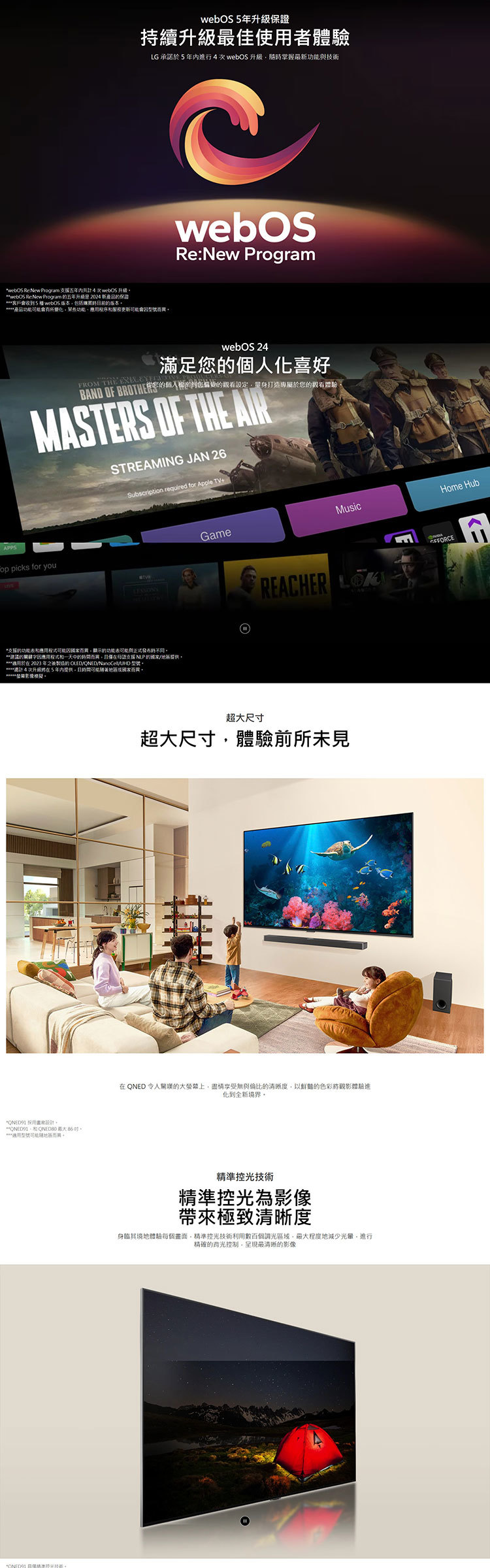 LG 65QNED91TTA 65吋 QNED MiniLED 量子奈米 4K AI 語音物聯網 