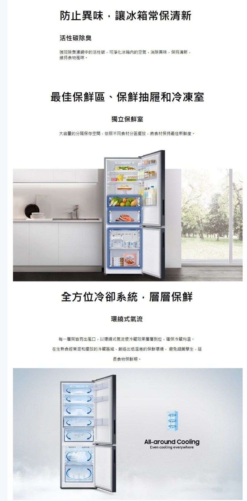 Samsung三星 RB30N4050B1/TW 雙門冰箱 310L 一級能效 下冷凍 薄窄邊框