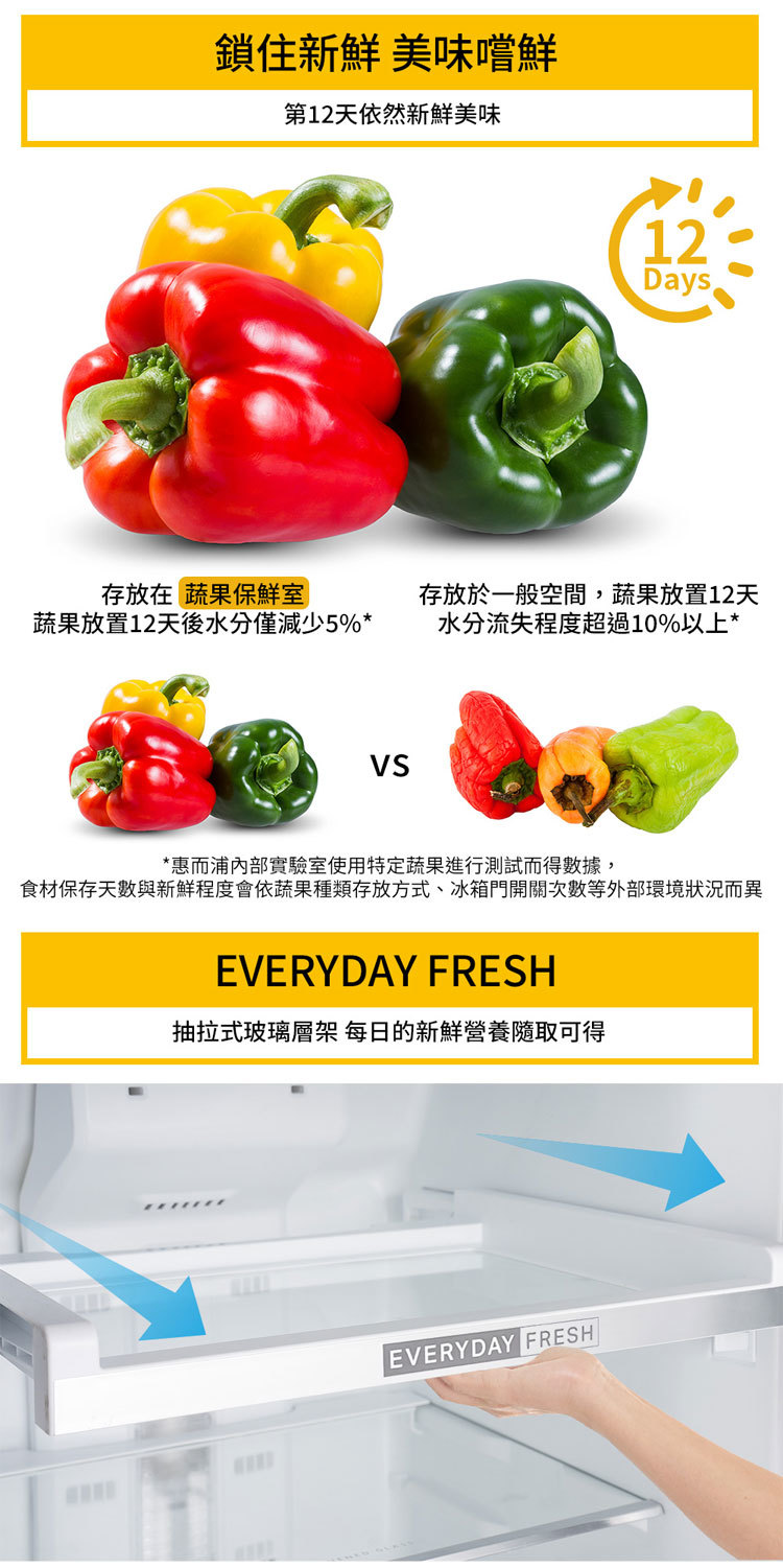 惠而浦 WTI2500A 變頻冰箱 雙門 250L 一級能效 Intelli Sense 星空銀