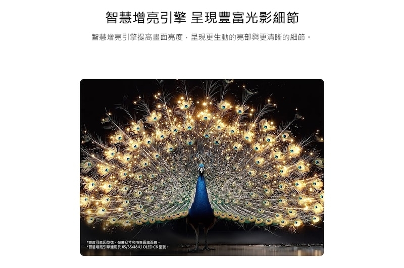 LG 樂金 OLED48C6PTA 48吋 4K OLED evo C6極緻系列 智慧顯示器 電視