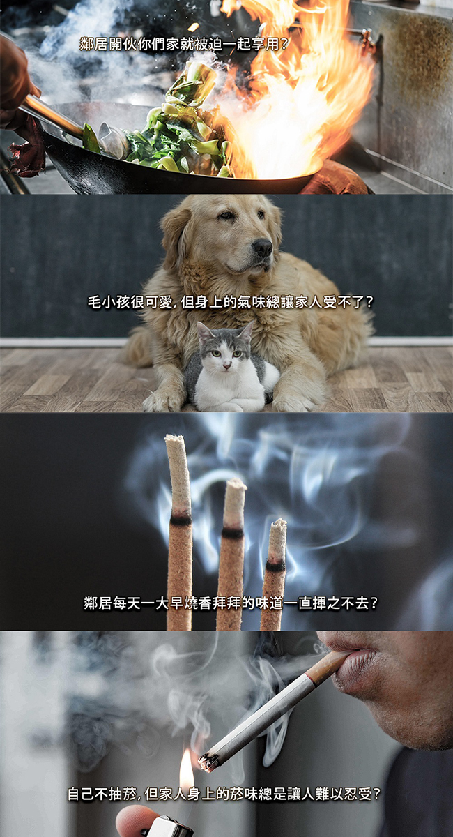 伊萊克斯 EFDFRH6 活性碳淨味 抗菌濾網 CADR 600系列