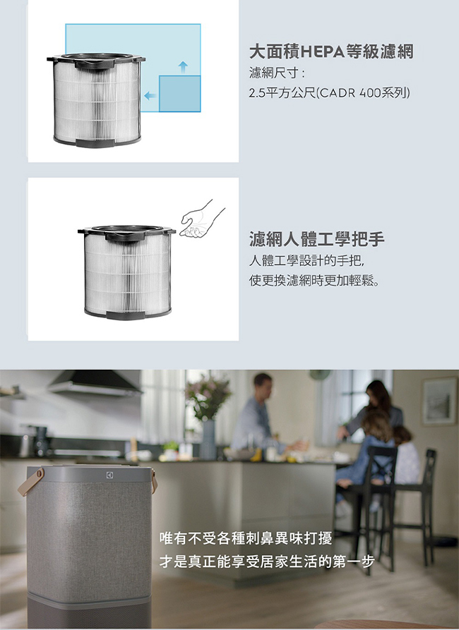 伊萊克斯 EFDFRH6 活性碳淨味 抗菌濾網 CADR 600系列