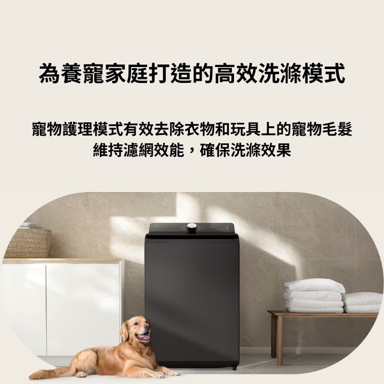 LG樂金 WT-TD16HW 16kg AI DD™  蒸氣直驅變頻 直立式洗衣機 EZ系列 雲朵白