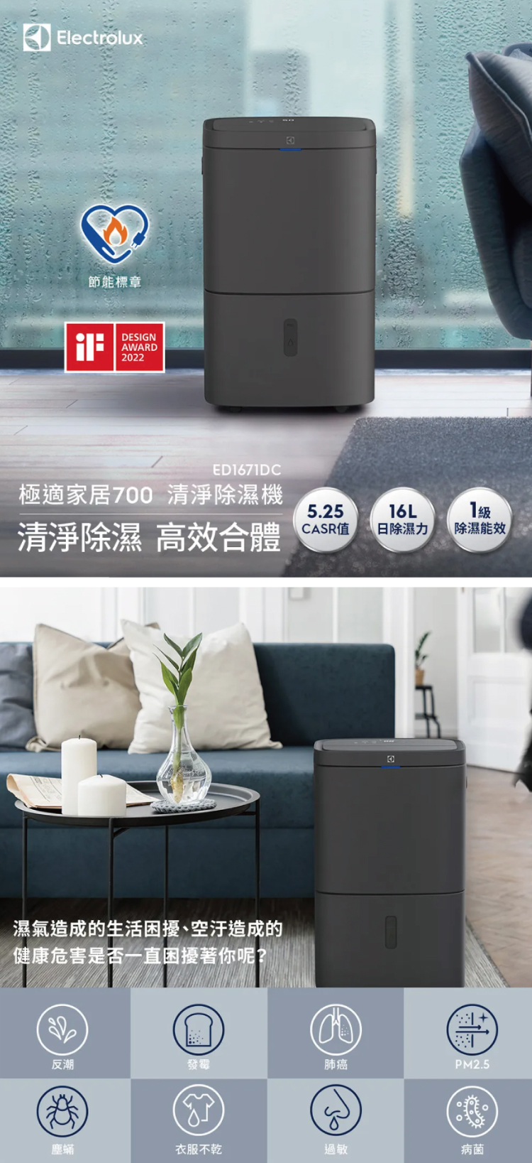 Electrolux 伊萊克斯 ED1671DC 清淨除濕機 16L/日 適用20坪 曜岩灰