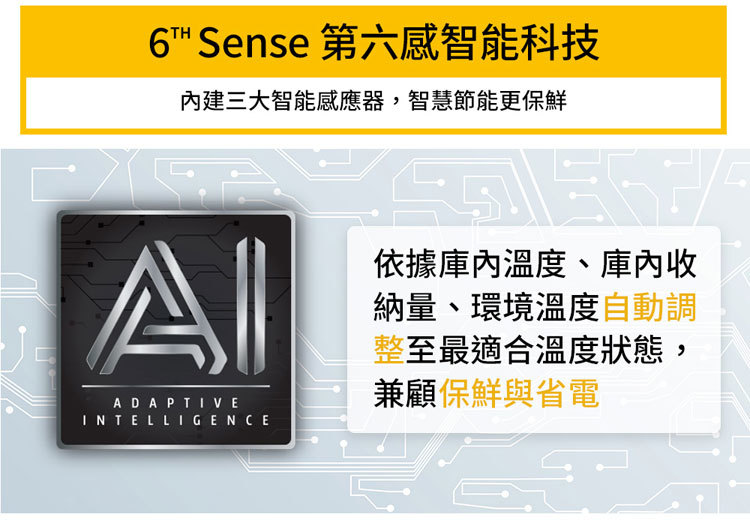 惠而浦 WTI2500A 變頻冰箱 雙門 250L 一級能效 Intelli Sense 星空銀
